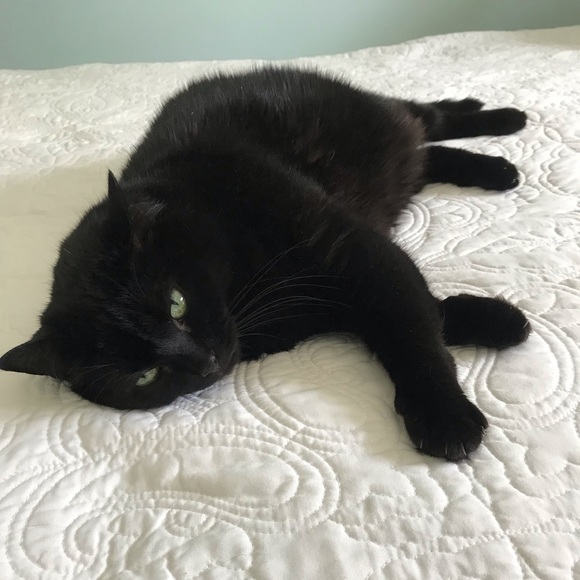 Meet your Posher, KC - Picture 3 of 6